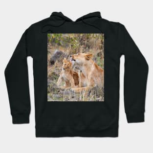 Wash Behind the Ears for Lion Cub Hoodie